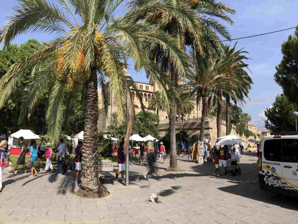 Leben auf Mallorca